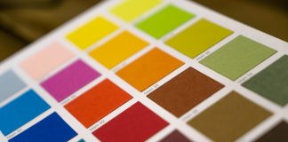 Sancy Suraj: The Guinness World Record For The Longest Colours Sequence Memorized Holder Who Coloured History