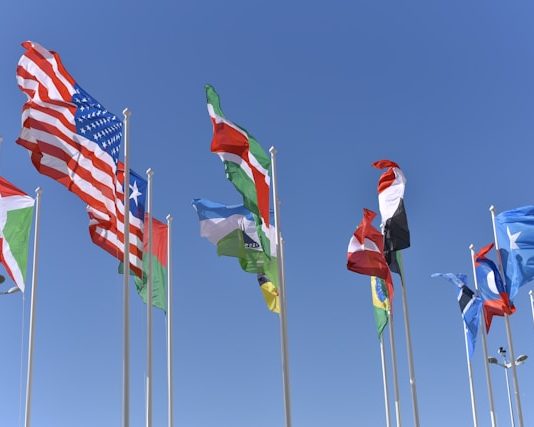 Questions for The Flag Phenomenon: Sancy Suraj’s Memory Mastery