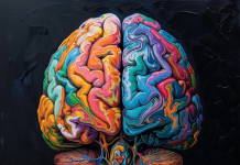 The Science Behind Preschool Memory Training Programs The Science Behind Preschool Memory Training Programs