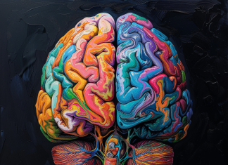 The Science Behind Preschool Memory Training Programs The Science Behind Preschool Memory Training Programs