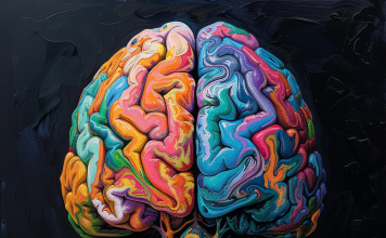 The Science Behind Preschool Memory Training Programs The Science Behind Preschool Memory Training Programs